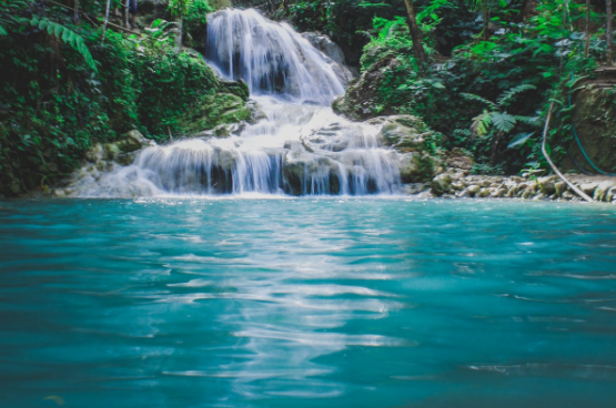 1648972037349255.png 微信截圖_20220402093635.png