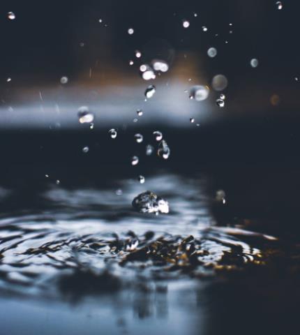 1658921950844953.jpg 18.jpg